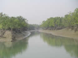 スンダルバンス国立公園（インド世界遺産）