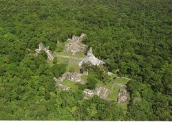 テイカル国立公園（グアテマラ世界遺産）