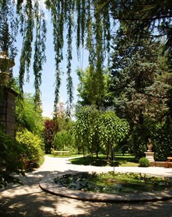 パドヴァ植物園（イタリア世界遺産）