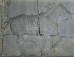 特勤驃（昭陵六駿）